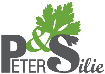 logo_transparent